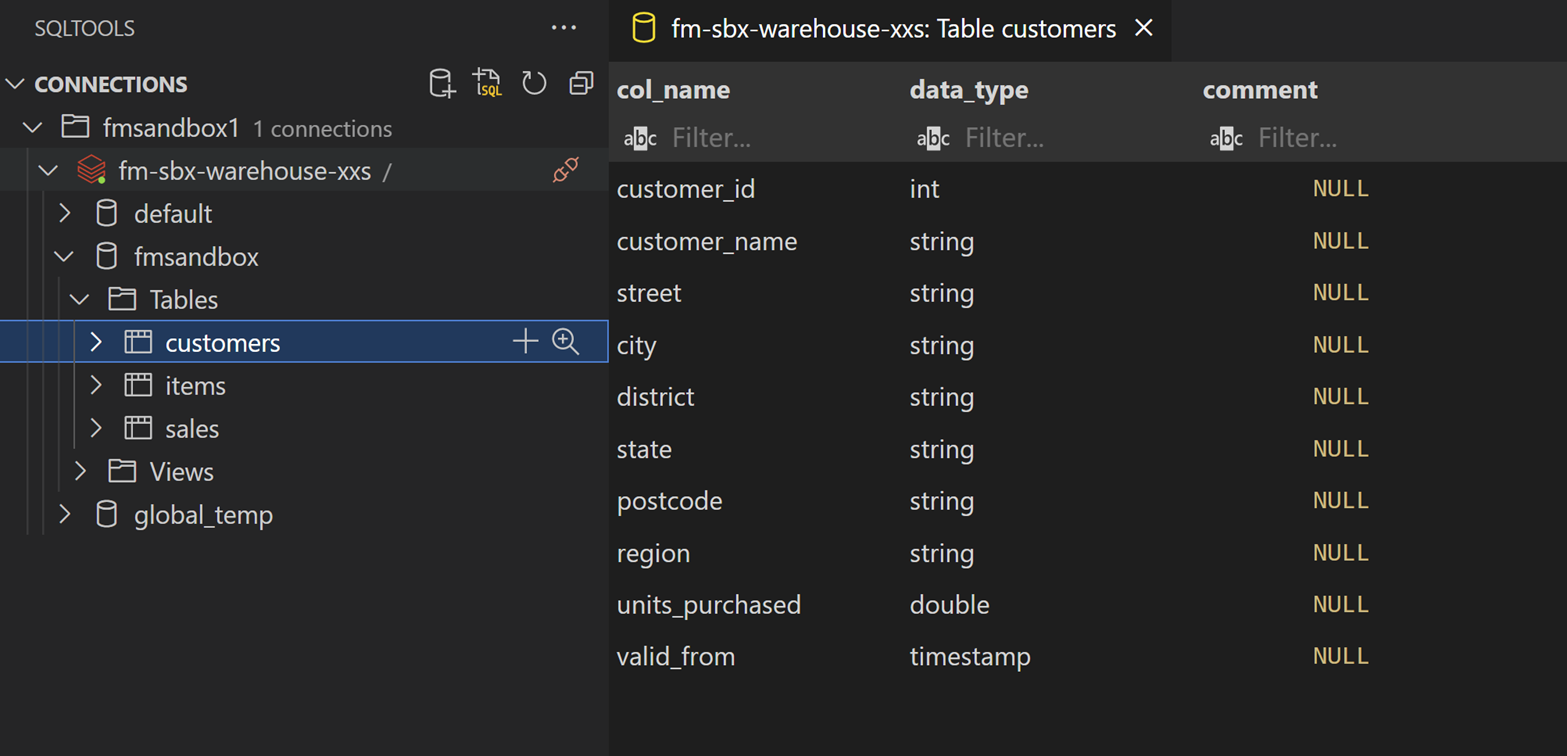 dbx-sql-06-describe-table