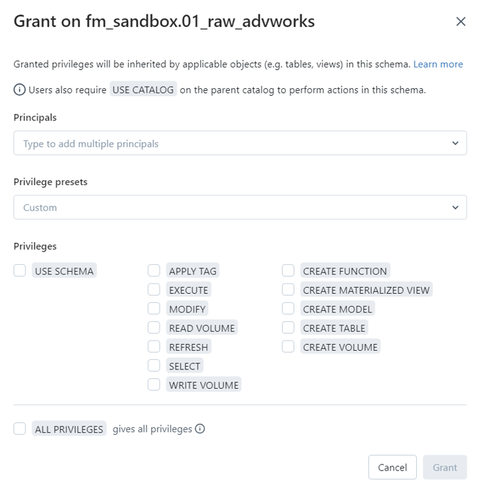 Data Governance – Grant Privileges